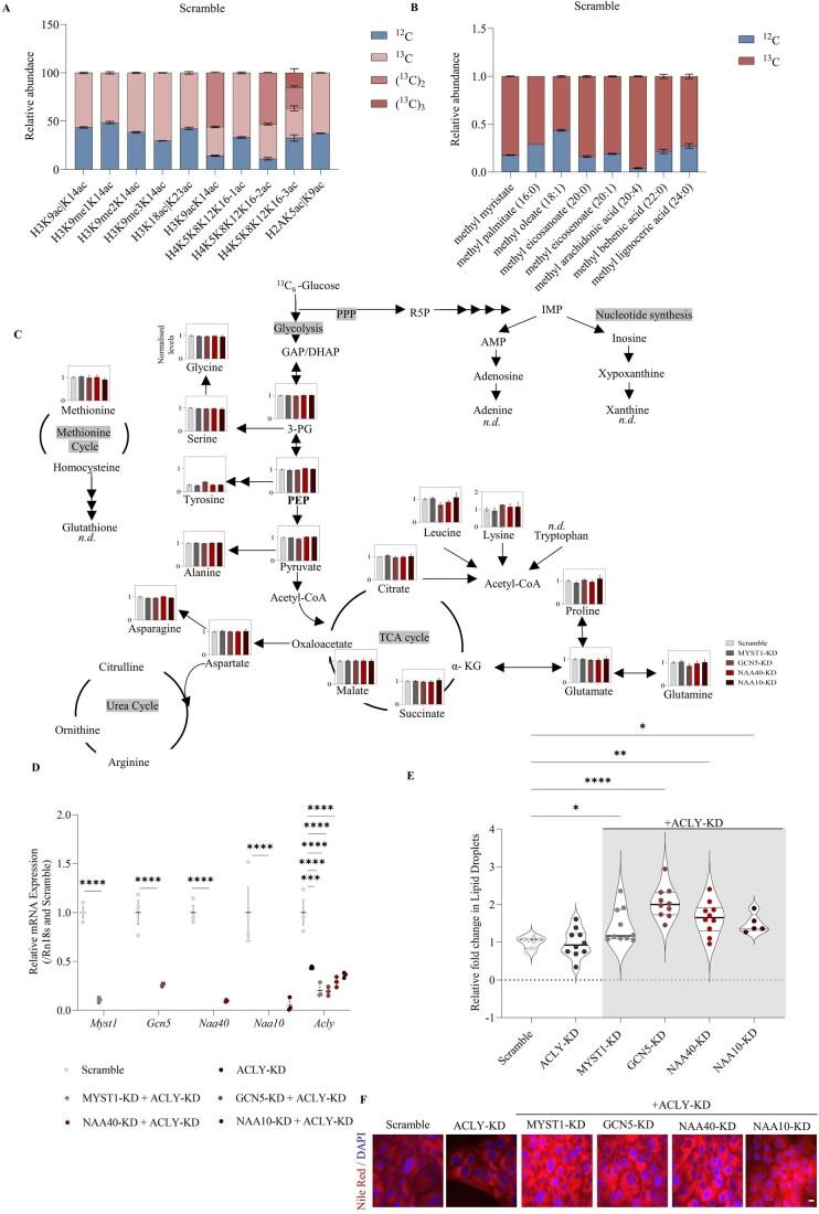 https://cdn.ncbi.nlm.nih.gov/pmc/blobs/f8af/10987603/6f161290ca17/44318_2024_53_Fig9_ESM.jpg