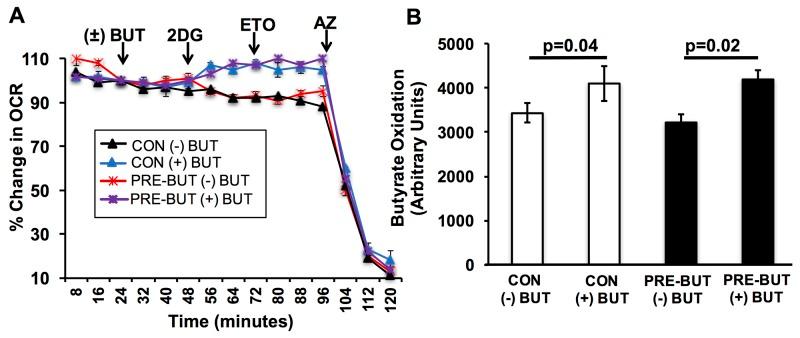 https://cdn.ncbi.nlm.nih.gov/pmc/blobs/f8af/6007476/13e3f611c2a1/oncotarget-09-27280-g002.jpg