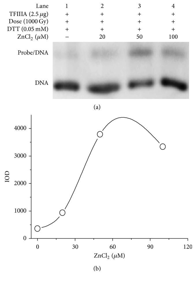 https://cdn.ncbi.nlm.nih.gov/pmc/blobs/f8b1/5075647/e3ab64567746/BCA2016-1642064.004.jpg