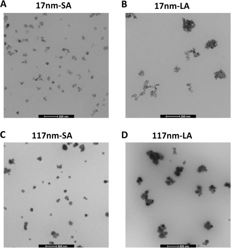 https://cdn.ncbi.nlm.nih.gov/pmc/blobs/f8b2/7045370/63ef46f76026/12989_2020_341_Fig1_HTML.jpg