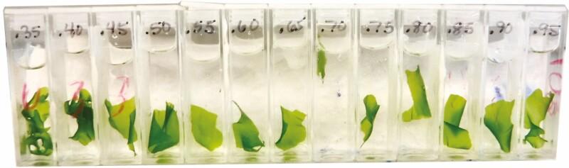 https://cdn.ncbi.nlm.nih.gov/pmc/blobs/f8b4/10601392/ba92c7149b3c/plad055_fig1.jpg