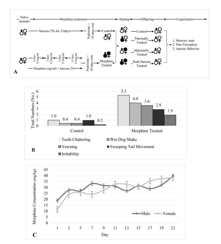 https://cdn.ncbi.nlm.nih.gov/pmc/blobs/f8b4/6868917/d48281cac2d1/EXCLI-18-1019-g-001.jpg