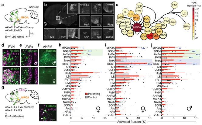 https://cdn.ncbi.nlm.nih.gov/pmc/blobs/f8b7/5908752/7adb445983a1/nihms942949f1.jpg