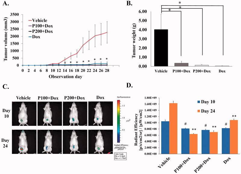 https://cdn.ncbi.nlm.nih.gov/pmc/blobs/f8b7/8735876/27e4f56ad442/IPHB_A_2018470_F0001_C.jpg