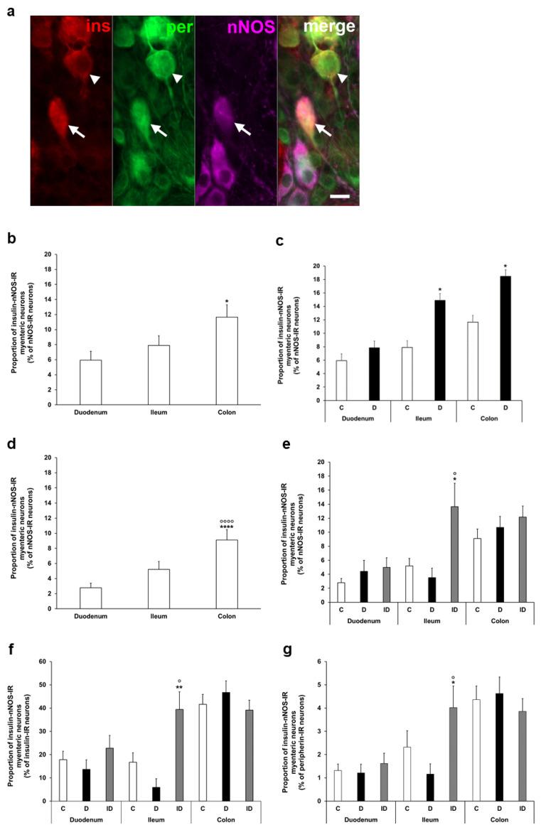 https://cdn.ncbi.nlm.nih.gov/pmc/blobs/f8bc/12153827/0f7f09c47de4/cells-14-00809-g004.jpg