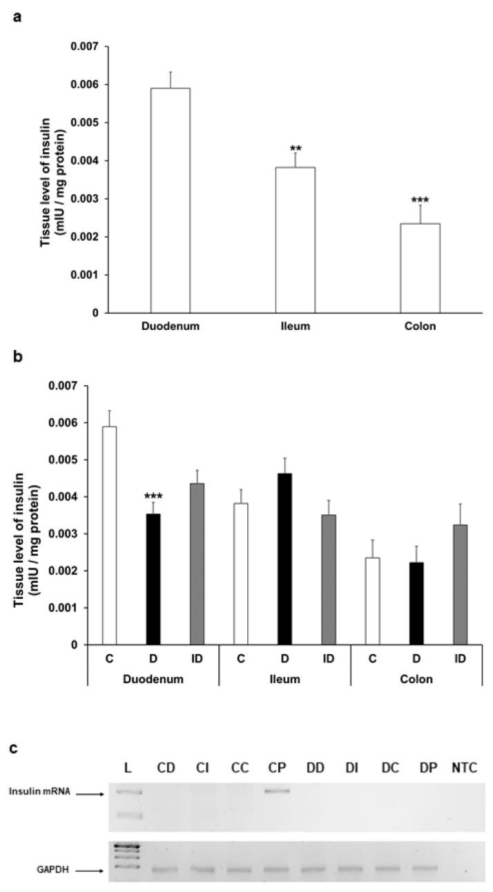 https://cdn.ncbi.nlm.nih.gov/pmc/blobs/f8bc/12153827/45f91d7775c7/cells-14-00809-g007.jpg
