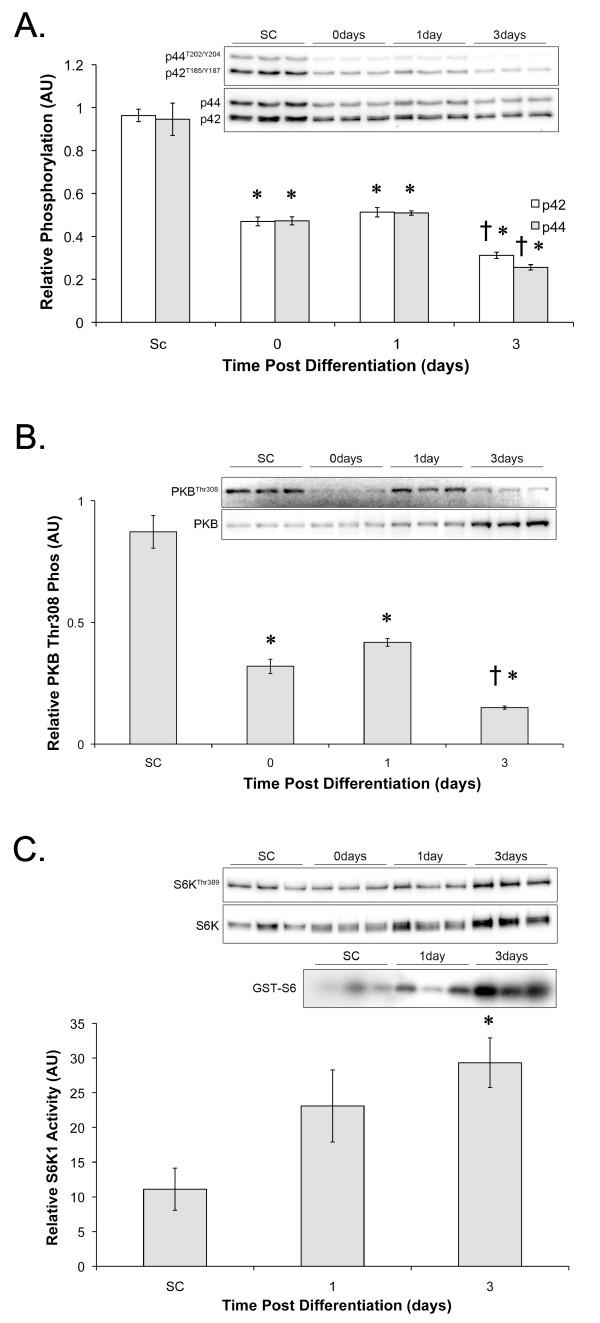 https://cdn.ncbi.nlm.nih.gov/pmc/blobs/f8bf/2890513/7d131c9d4244/1471-2121-11-37-2.jpg