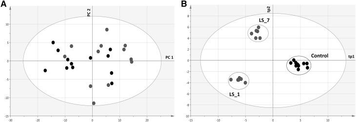 https://cdn.ncbi.nlm.nih.gov/pmc/blobs/f8bf/5486622/036d8b404ea3/11306_2016_1156_Fig5_HTML.jpg