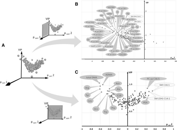 https://cdn.ncbi.nlm.nih.gov/pmc/blobs/f8bf/5486622/1bc913a7b82d/11306_2016_1156_Fig6_HTML.jpg