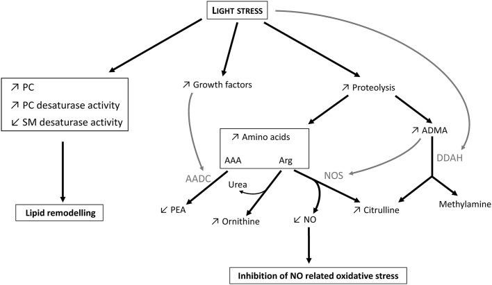 https://cdn.ncbi.nlm.nih.gov/pmc/blobs/f8bf/5486622/8e9d9659a826/11306_2016_1156_Fig7_HTML.jpg