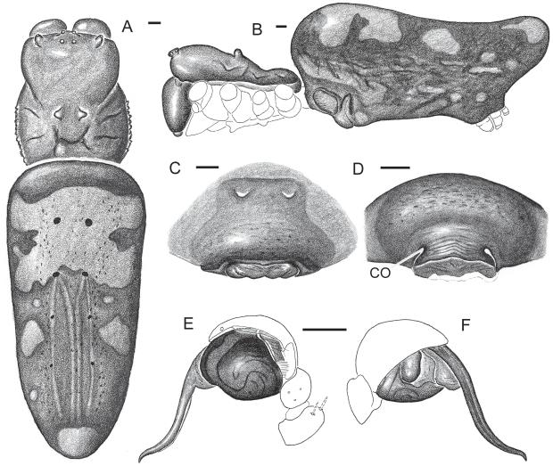 https://cdn.ncbi.nlm.nih.gov/pmc/blobs/f8c2/2760137/33209bd1fb74/pone.0007516.g002.jpg