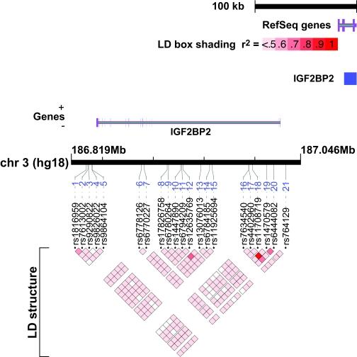 https://cdn.ncbi.nlm.nih.gov/pmc/blobs/f8c3/2453612/811fc5f08d19/zdb0070853600001.jpg