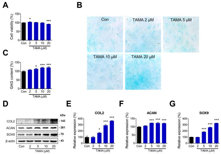 https://cdn.ncbi.nlm.nih.gov/pmc/blobs/f8c4/11505541/0920f26ba8b6/antioxidants-13-01166-g001.jpg
