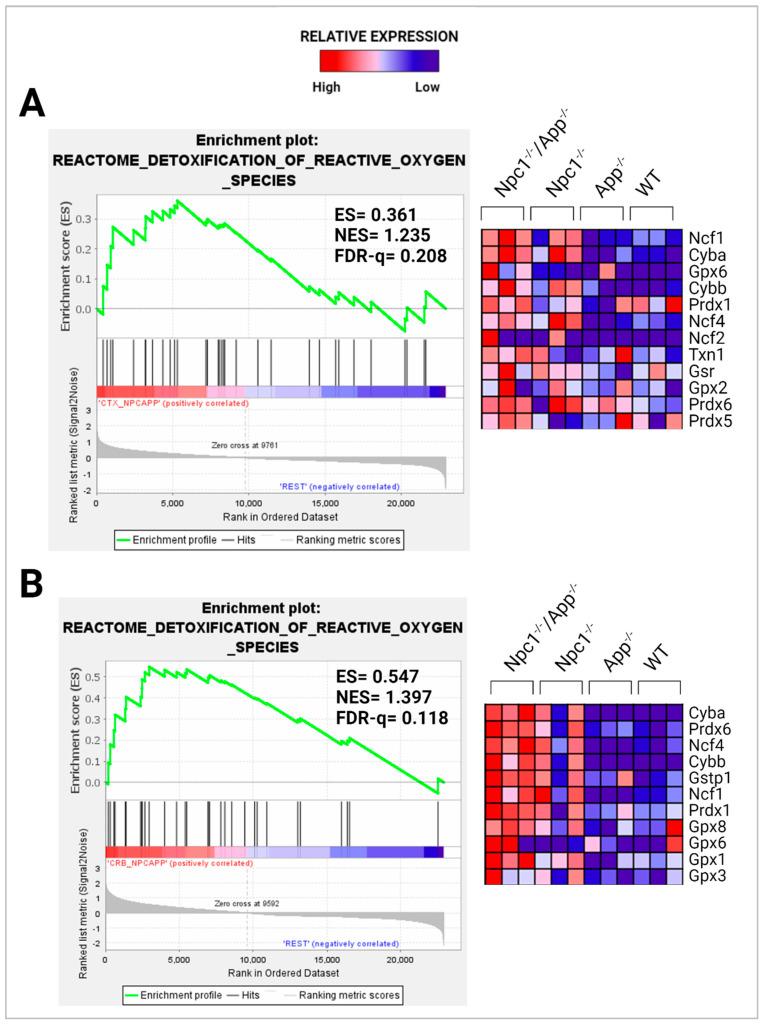 https://cdn.ncbi.nlm.nih.gov/pmc/blobs/f8c5/11354009/6497a63599a8/genes-15-01066-g011.jpg