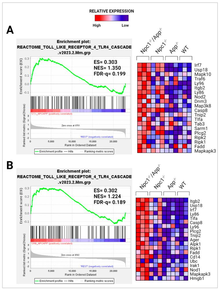 https://cdn.ncbi.nlm.nih.gov/pmc/blobs/f8c5/11354009/e622f8df277a/genes-15-01066-g009.jpg