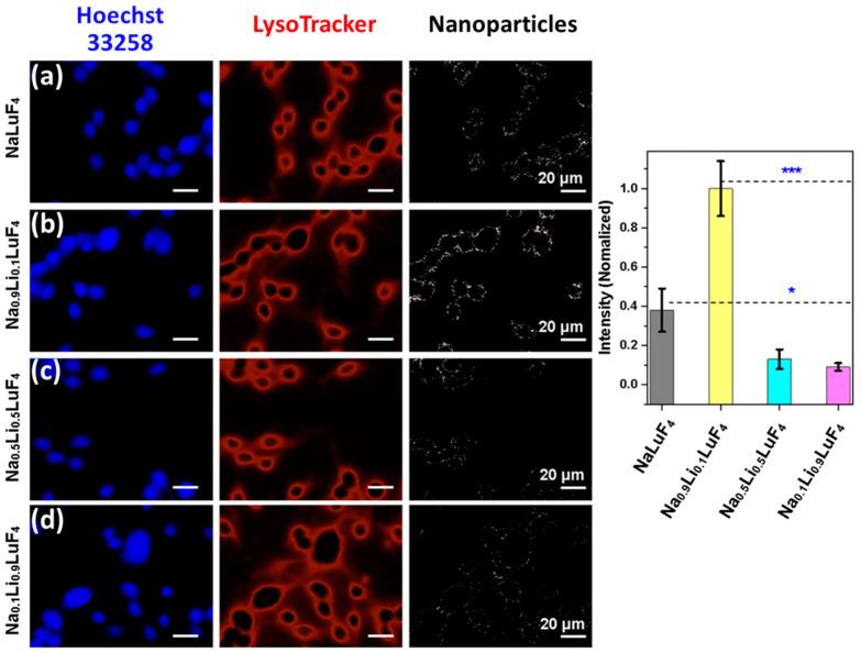https://cdn.ncbi.nlm.nih.gov/pmc/blobs/f8c6/11643515/1159c8275de6/nanomaterials-14-01969-g007.jpg
