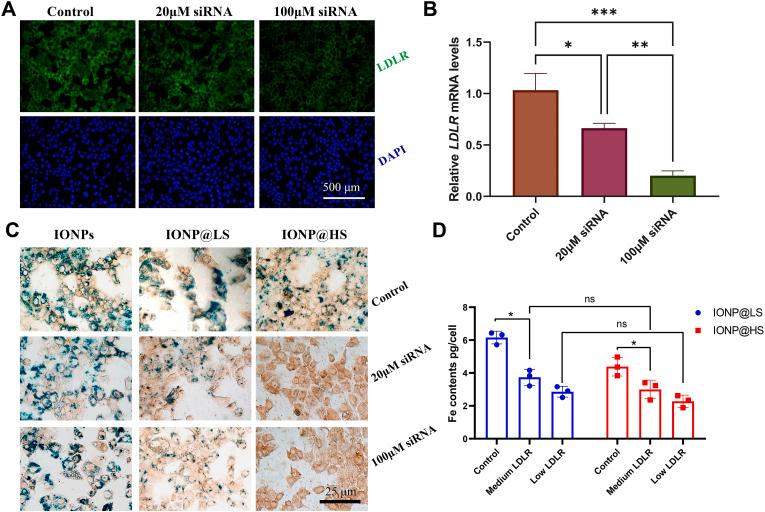 https://cdn.ncbi.nlm.nih.gov/pmc/blobs/f8c7/11364921/41dafcf0338e/gr4.jpg