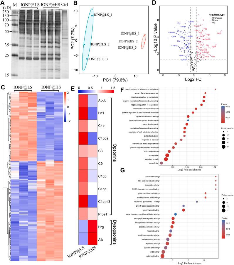 https://cdn.ncbi.nlm.nih.gov/pmc/blobs/f8c7/11364921/44f45977e749/gr3.jpg