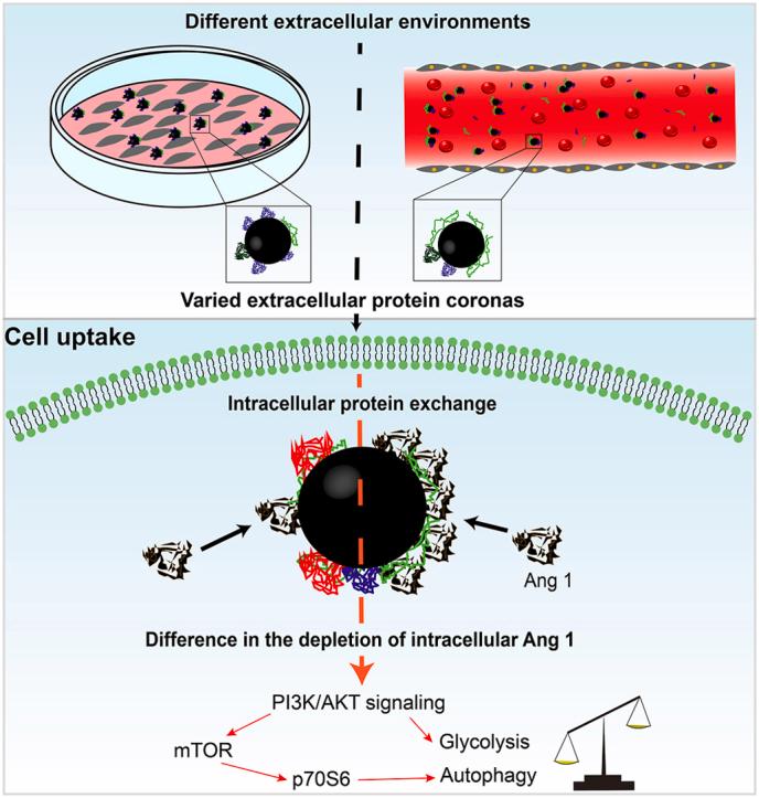 https://cdn.ncbi.nlm.nih.gov/pmc/blobs/f8c7/11364921/6ec172317f89/ga1.jpg