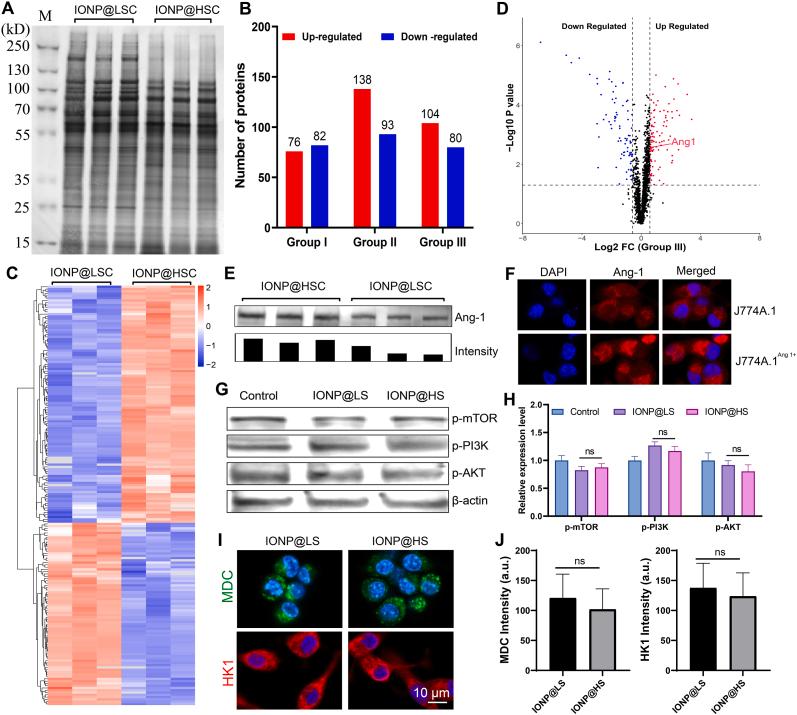 https://cdn.ncbi.nlm.nih.gov/pmc/blobs/f8c7/11364921/e567395c7091/gr6.jpg