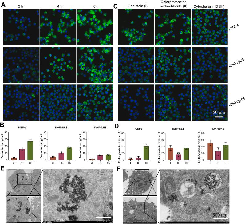 https://cdn.ncbi.nlm.nih.gov/pmc/blobs/f8c7/11364921/f66cceb85729/gr2.jpg