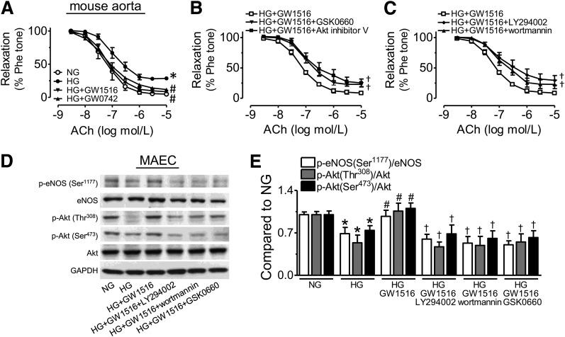 https://cdn.ncbi.nlm.nih.gov/pmc/blobs/f8c7/3501853/6aefcf87c2f4/3285fig1.jpg