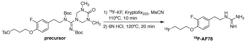 https://cdn.ncbi.nlm.nih.gov/pmc/blobs/f8c8/9169360/1c09fde1b01e/thnov12p4446g001.jpg