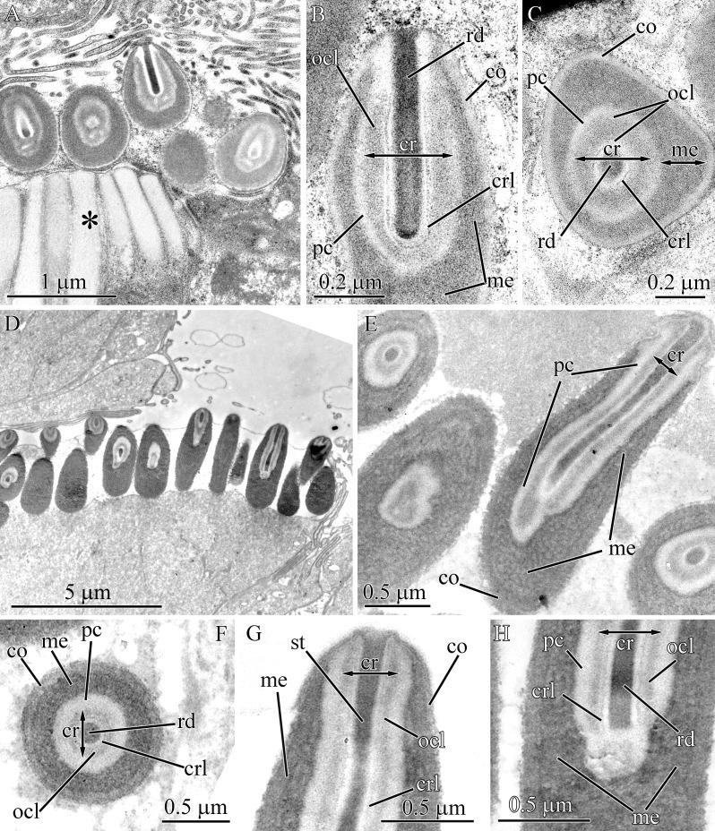 https://cdn.ncbi.nlm.nih.gov/pmc/blobs/f8cc/7897414/b3375bb09236/peerj-09-10912-g006.jpg