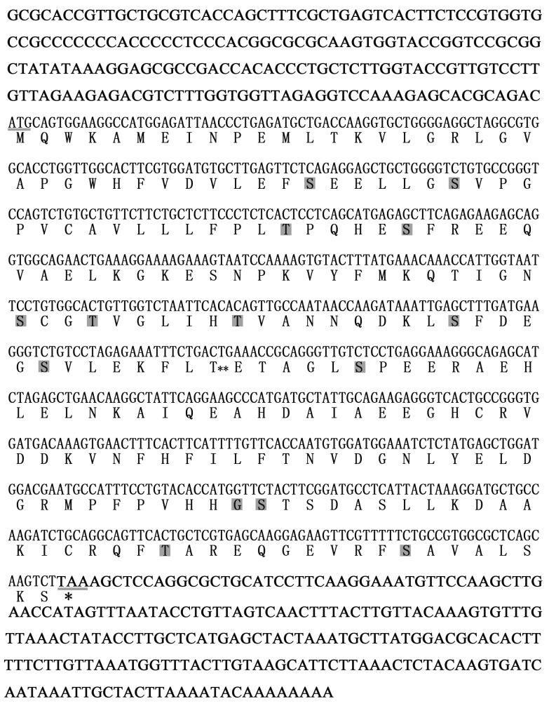 https://cdn.ncbi.nlm.nih.gov/pmc/blobs/f8ce/5689666/ebe6c79ffcba/oncotarget-08-86043-g001.jpg