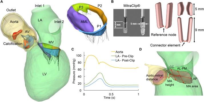 https://cdn.ncbi.nlm.nih.gov/pmc/blobs/f8ce/7221026/6e61e3a4be06/fphys-11-00432-g001.jpg