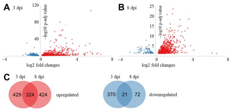 https://cdn.ncbi.nlm.nih.gov/pmc/blobs/f8ce/8002989/666d877bce24/ijms-22-03094-g002.jpg