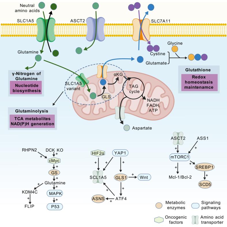 https://cdn.ncbi.nlm.nih.gov/pmc/blobs/f8cf/11472704/806fbc852823/cdr-7-38.fig.3.jpg