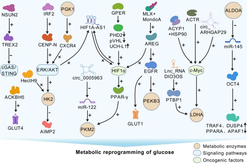 https://cdn.ncbi.nlm.nih.gov/pmc/blobs/f8cf/11472704/d9d18f3ffbb1/cdr-7-38.fig.1.jpg