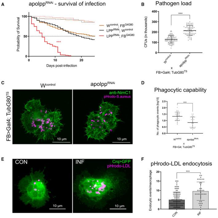 https://cdn.ncbi.nlm.nih.gov/pmc/blobs/f8d0/10690471/9531e293d356/EMBJ-42-e114086-g013.jpg