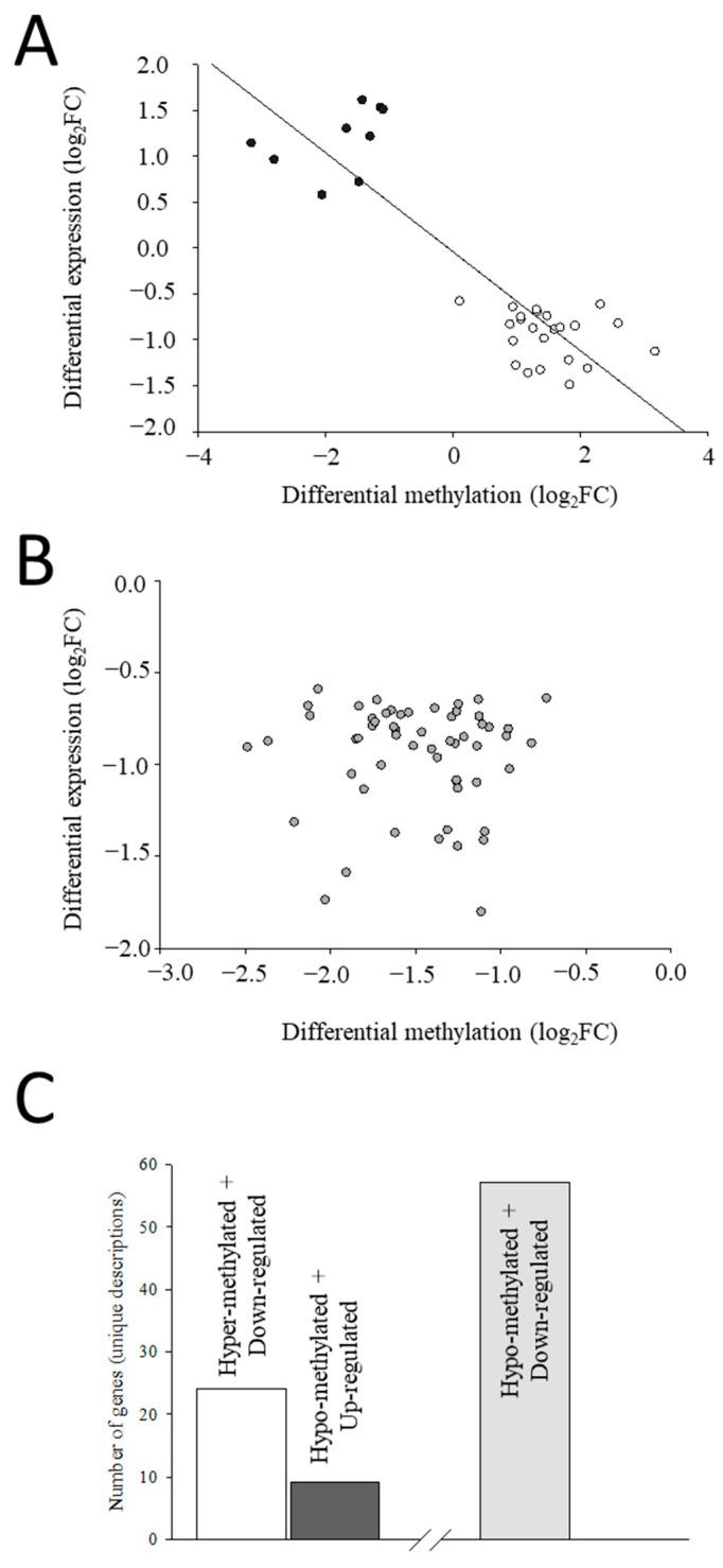 https://cdn.ncbi.nlm.nih.gov/pmc/blobs/f8d1/11432111/a01570f5240e/ijms-25-09836-g004.jpg