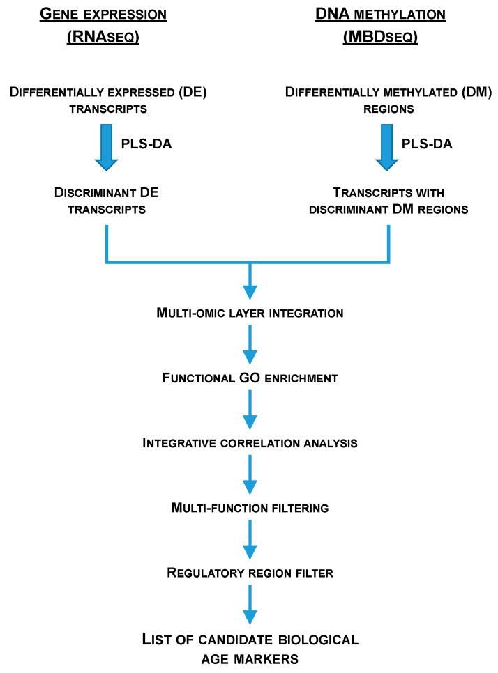 https://cdn.ncbi.nlm.nih.gov/pmc/blobs/f8d1/11432111/c2a806912e18/ijms-25-09836-g007.jpg
