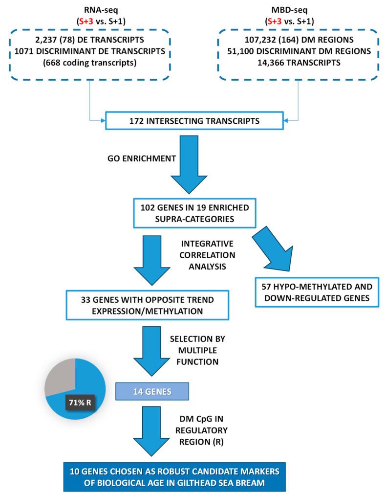 https://cdn.ncbi.nlm.nih.gov/pmc/blobs/f8d1/11432111/f444d1b2b6b7/ijms-25-09836-g006.jpg