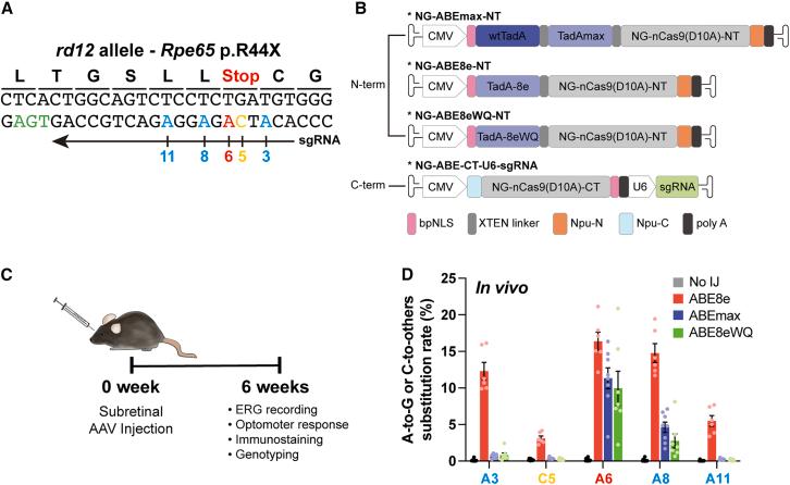 https://cdn.ncbi.nlm.nih.gov/pmc/blobs/f8d2/12032331/622e2da3714e/gr1.jpg