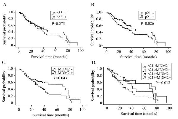 https://cdn.ncbi.nlm.nih.gov/pmc/blobs/f8d3/2809055/24346d2865bd/1479-5876-7-110-3.jpg