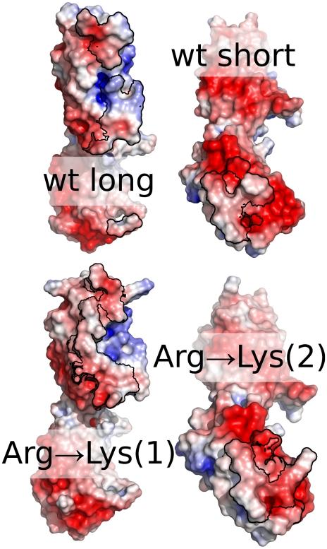 https://cdn.ncbi.nlm.nih.gov/pmc/blobs/f8d3/3110247/0470972ffac1/pone.0020925.g009.jpg