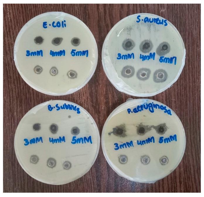 https://cdn.ncbi.nlm.nih.gov/pmc/blobs/f8d4/10708060/1696e77b8bb8/molecules-28-07773-g010.jpg