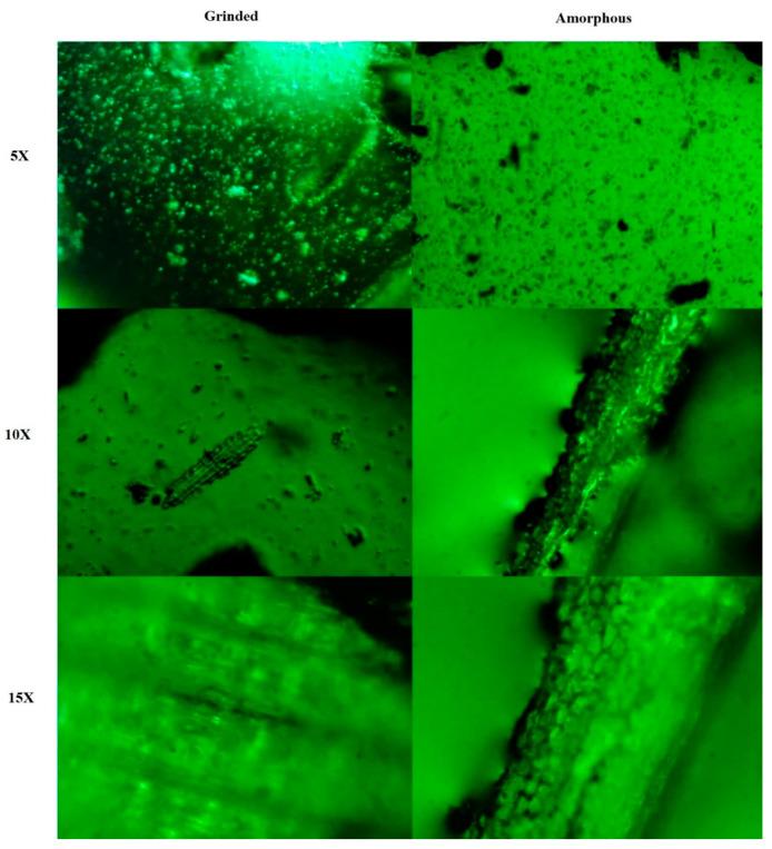 https://cdn.ncbi.nlm.nih.gov/pmc/blobs/f8d4/10708060/17f4367359f2/molecules-28-07773-g002.jpg