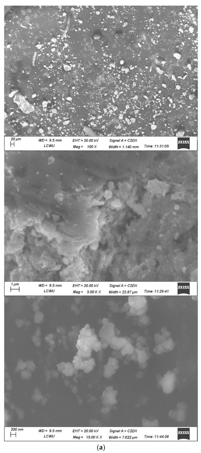 https://cdn.ncbi.nlm.nih.gov/pmc/blobs/f8d4/10708060/70e3d5ef8948/molecules-28-07773-g008a.jpg