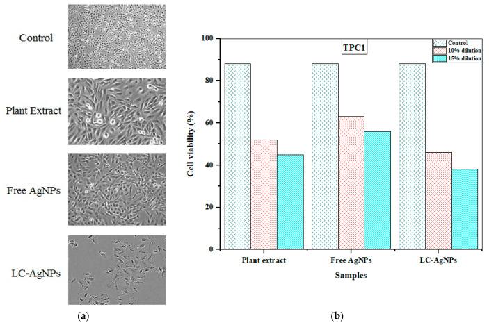 https://cdn.ncbi.nlm.nih.gov/pmc/blobs/f8d4/10708060/be385b6a7ca8/molecules-28-07773-g011.jpg