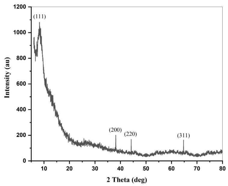 https://cdn.ncbi.nlm.nih.gov/pmc/blobs/f8d4/10708060/d376e0a95cf5/molecules-28-07773-g005.jpg