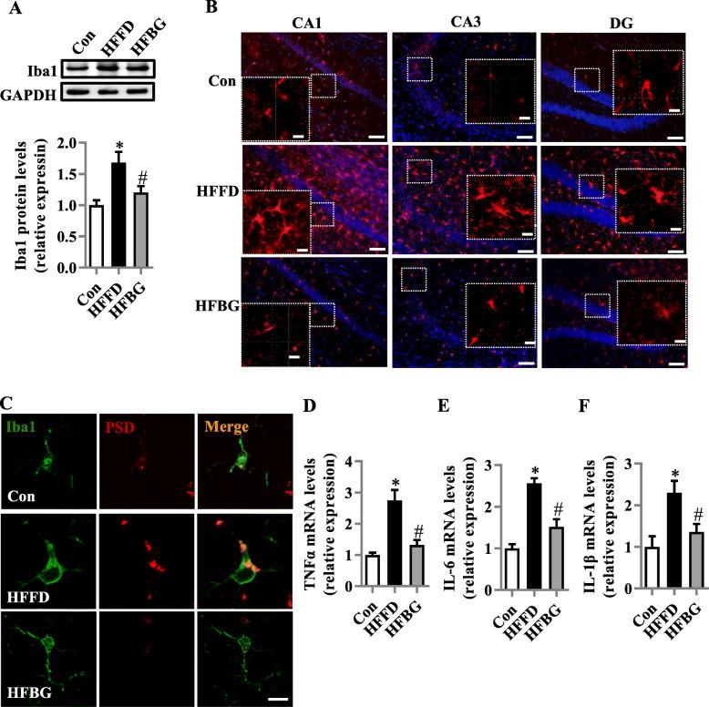 https://cdn.ncbi.nlm.nih.gov/pmc/blobs/f8d4/7532656/a227a70d8d3c/40168_2020_920_Fig2_HTML.jpg