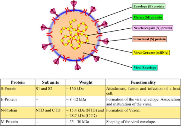 https://cdn.ncbi.nlm.nih.gov/pmc/blobs/f8d6/10125215/9bf0fd56046b/gr1_lrg.jpg