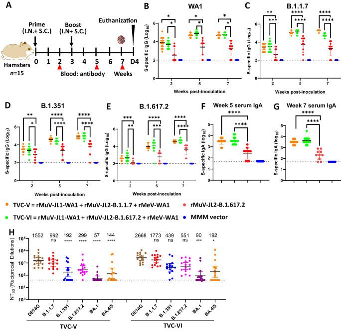 https://cdn.ncbi.nlm.nih.gov/pmc/blobs/f8d9/11222507/b5e635a72662/41467_2024_49443_Fig6_HTML.jpg