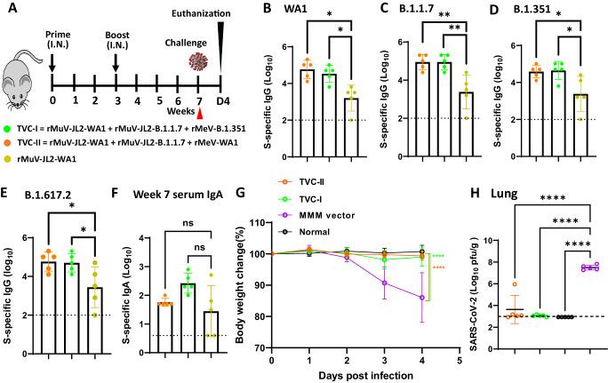 https://cdn.ncbi.nlm.nih.gov/pmc/blobs/f8d9/11222507/d1a501f444a0/41467_2024_49443_Fig1_HTML.jpg