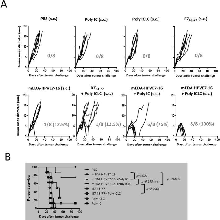 https://cdn.ncbi.nlm.nih.gov/pmc/blobs/f8db/7319778/1232aa2e2688/jitc-2020-000704f04.jpg